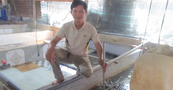nuoi luon trong be 17122226689061746643749 53 0 1125 2048 crop 17122234122331984483242