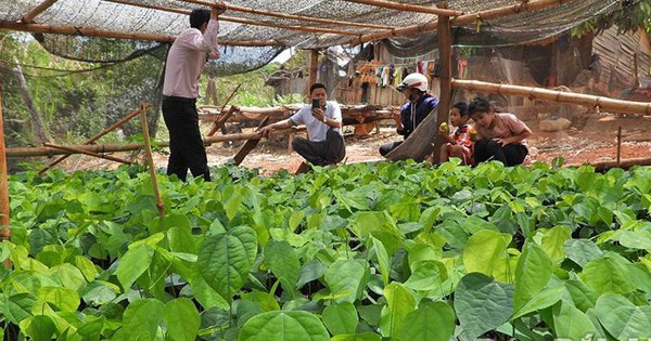 rr20240328205337 1714409672972 1714409673455155184775 0 0 388 742 crop 17144098693281993078857