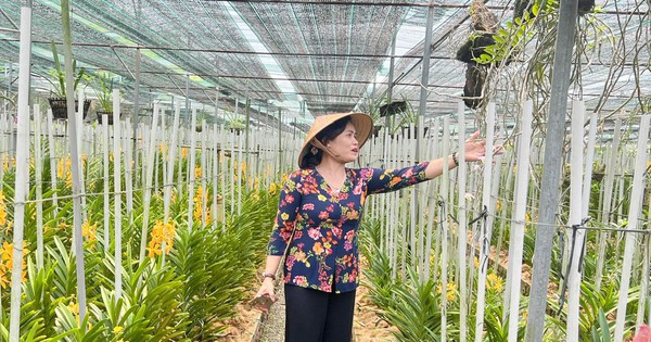 t8 1713711148066 1713711148486340420583 0 0 497 949 crop 17137112867311462236042