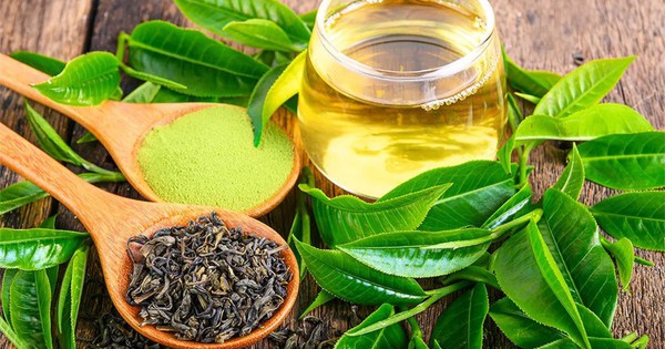 Mùa hè, uống trà xanh theo cách này còn tốt hơn thuốc bổ, đây có thể là 'bí quyết sống thọ' của người Nhật 1 tra xanh truong tho 17139473954591076954710 21 0 521 800 crop 1713947623397259761566