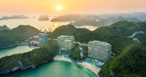 vinh lan hadocx 1620258098406 1713022399325 crop 1713253118114