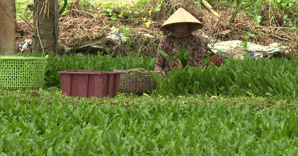 vlcsnap 2023 10 11 07h07m12s936 1713347247436 1713347247655325725848 0 0 1005 1920 crop 1713347534785324186413