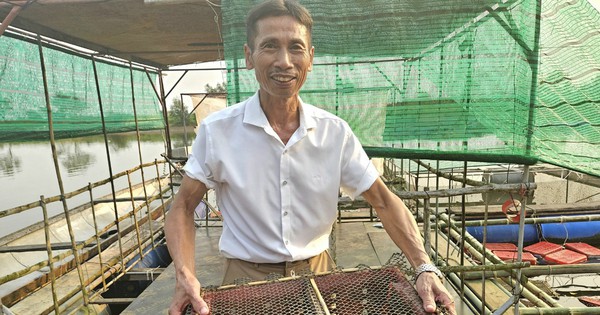 z5318108019384b5cfc93623be999268f5f82584bf11c0 1712292799031244489582 53 0 723 1280 crop 17122934716161946443987