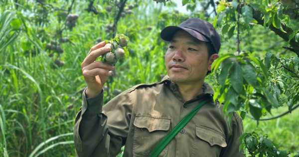 20240508105944 17154008796991642569016 157 0 2268 4032 crop 17154009140141098524416