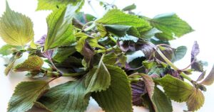 avatar1714789719117 17147897195381288376331