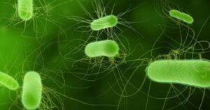 avatar1715183521197 17151835213951125534780