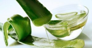 avatar1715183819392 1715183819722966083560