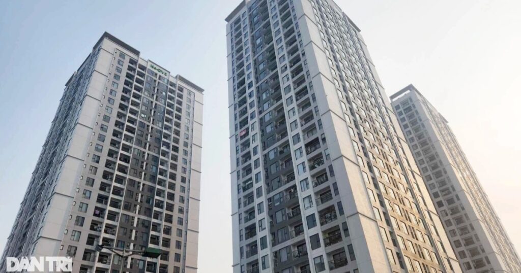 bds crop 1715961893024