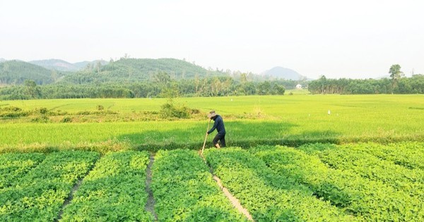 c1 1714735036203 17147350367761423978507 0 0 491 938 crop 1714735460998721264942