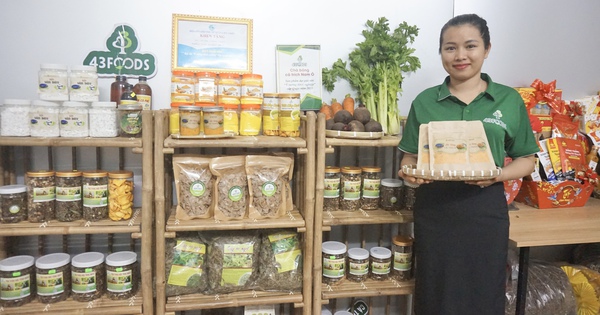 hinh 1 17144472549151500623924 260 0 1600 2560 crop 1714448025385879732286