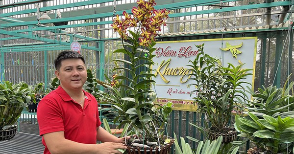 Tự trả lương 50 triệu/tháng cho chính mình, anh chàng 8X Cần Thơ thành công với mô hình trồng hoa lan 1 t6 a1 1715358637393 171535863813147779443 23 0 442 800 crop 1715359122508647212046
