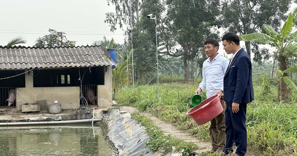 yen dong trien vong tu mo hinh nuoi ca tre dong f0686 1714582503070 17145825037351430687973 35 0 571 1024 crop 17145827825031786155162