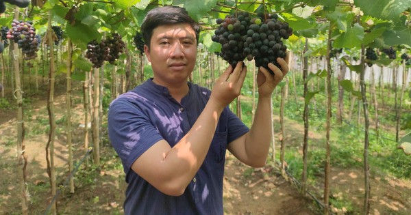 z53978900863157e474d456881fca59b2aee7df87f8605 171461743873667244519 580 0 1920 2560 crop 1714618666233385237695