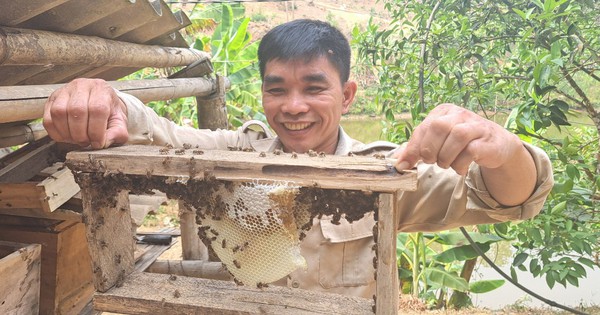 z5433144200475 429b79b5ac63b8e6d2cefe55a374635d 1715500289814360153113 0 65 577 1167 crop 17155003526441718950725