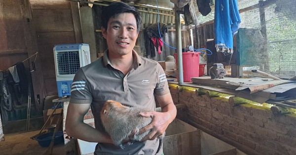 z5477800516891 90ec6b967aaec0d0e3bb7737f3a3aa30 1716712962622805902178 0 0 577 1102 crop 1716712993088774285827