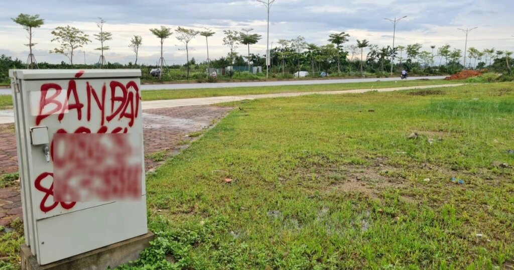 2926251904445261110180892943622847693940617n 1658247945359 crop 1717991833057