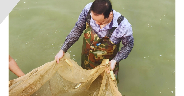 4 7131 1718779830215 17187798310791670667817 97 0 1144 2000 crop 1718780062057950570301