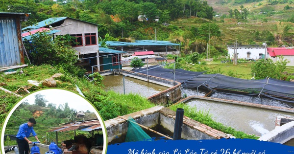 Ở vùng núi của Lào Cai có một chàng trai vượt qua nổi sợ để nuôi cá quý tộc, bán 50 tấn, thu 8,5 tỷ 1 4 786 1718381195252 17183811956121036061885 110 0 1157 2000 crop 17183813512521899908714