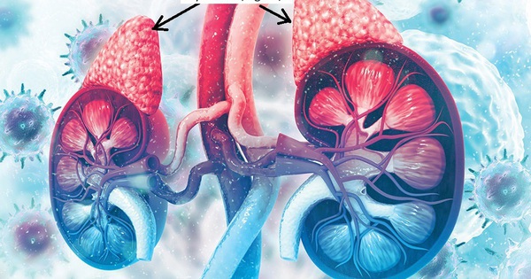 avatar1717338460017 17173384622301926629422