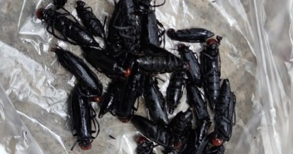 avatar1717415867406 17174158699132066372336 0 53 315 557 crop 17174159664661562245418