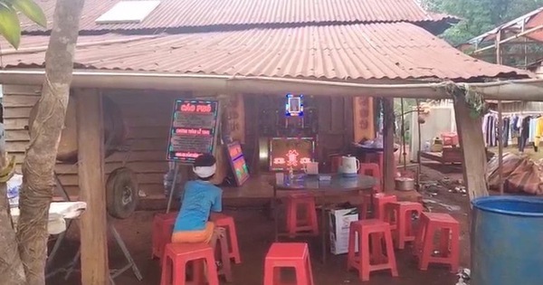 avatar1718702448854 17187024496121998394557