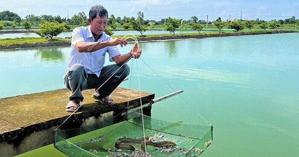 ca chinh 17174050483931793179596 96 0 534 700 crop 17174050610701484621028