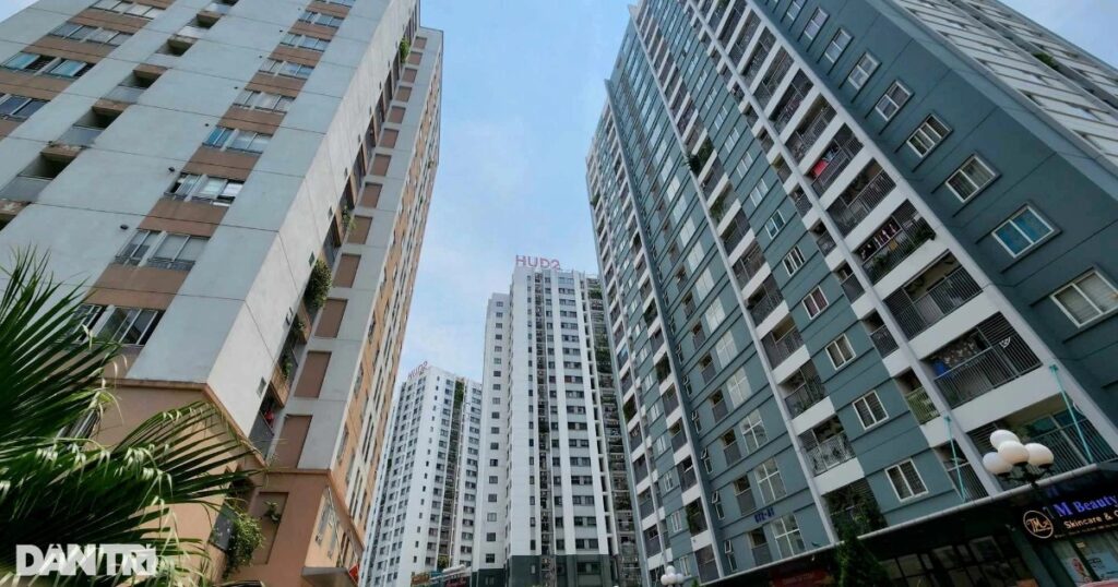 dat crop 1719383707540