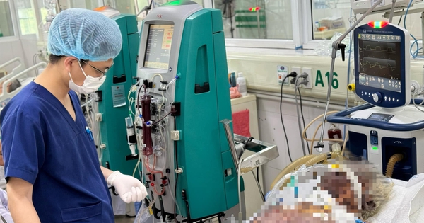 edit 4488644134827106344148392045384706888137600n 1719394268514749339173 77 0 1357 2048 crop 1719394279195977933838