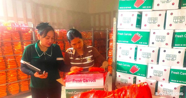 hai duong 17192120381831543661727 36 0 1041 1920 crop 17192120541081886063743