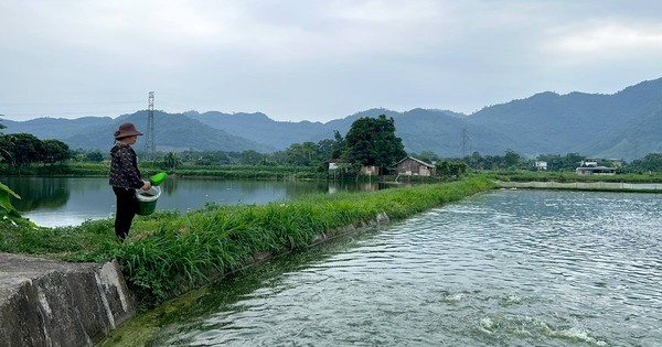 img20240618225138 1719303060500 1719303060779797501950 99 0 727 1200 crop 1719303360405873246210