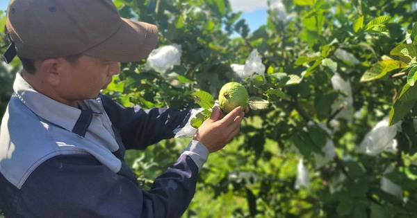 img20240626123004 1719380284933380134568 94 0 671 1103 crop 17193809283881056976540