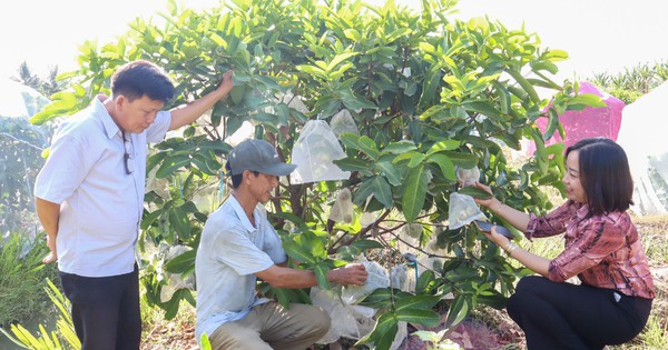 man 1717263424723 17172634250531482688566 39 0 929 1700 crop 17172637117801851819027