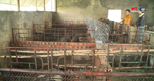 mohinhnuoinhim 1717558566036 1717558567328864366080 0 0 628 1200 crop 1717558766432944829836