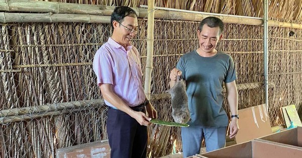 nuoi dui quang ngai 1719243754120953421286 9 0 528 991 crop 17192438917351654164442