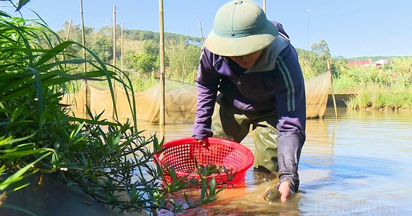 oc 1718591339244 1718591339352829346795 199 0 1204 1920 crop 1718591535381707714005