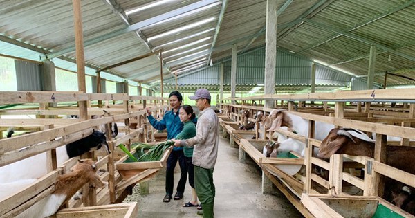 Chỉ thị số 40 của Ban Bí thư là “Kim chỉ nam” cho tín dụng chính sách tại Hà Tĩnh 1 photo 1717498856763 17174988569141961943387 0 0 314 600 crop 1717499193084542978875