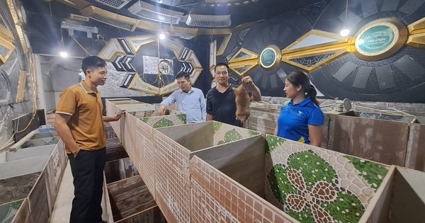Thái Nguyên: Nuôi dúi, nuôi cá chép giòn, 20 hộ được vay nguồn vốn Quỹ Hỗ trợ nông dân 1 quy ho tro nong dan 17175802043511234213532 100 0 1440 2560 crop 1717580613342504681443