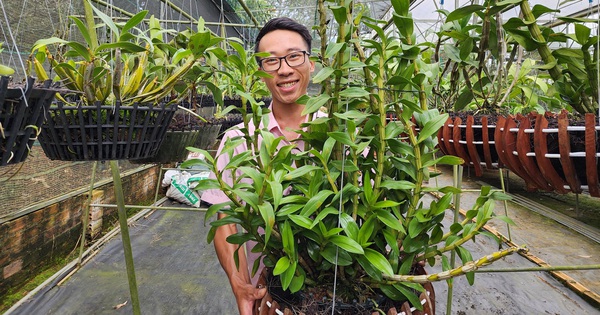 t3a anhdilinh2024062508024920240625201046 1719552897856 17195528985411629492035 0 0 1005 1920 crop 17195532515621852280888