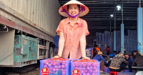 vai thieu 1 17186147840081047358056 18 0 542 1000 crop 17186149123151031443117