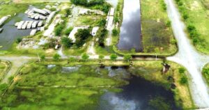 1 edited 1721180963013 crop 1721986525090