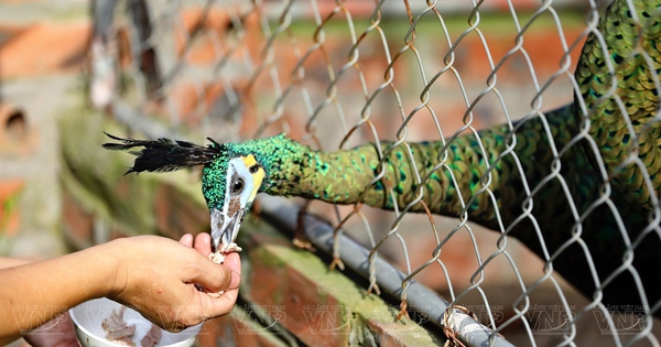 3229 10 1 37 1721734442746 1721734442809620794129 222 0 1227 1920 crop 1721735048326506799523