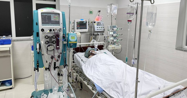 Người đàn ông 36 tuổi suy đa tạng nguy kịch sau khi bị mò đốt 1 4497043559819593237226086891528069193250592n 17199064150092055188056 256 0 1536 2048 crop 1719906832135328535470