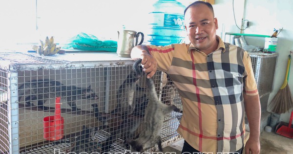 anh20kem20bai20huyen20long20phu20phat20trien203 17203484817262020414542 134 0 1024 1700 crop 17203569822901225343953