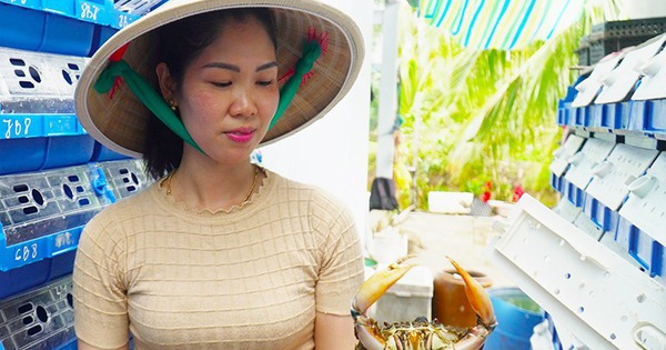 cua ca mau to bu 17203239775972119410185 24 0 443 800 crop 17203241698371586247488