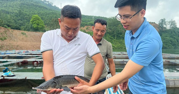 img20240611223842 1719318793480 17193187935381126360745 97 0 725 1200 crop 1719319134354353868378