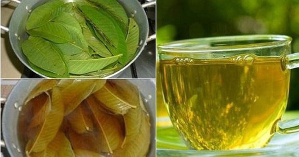 nguoi benh tieu duong uong nuoc la oi 17204537862821520601700 0 0 360 576 crop 1720453943968481750041