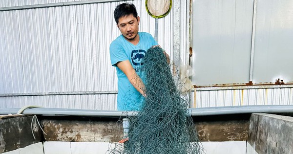 nuoi luon khong bun 17213780421371188140716 45 0 569 1000 crop 1721378081974171008764