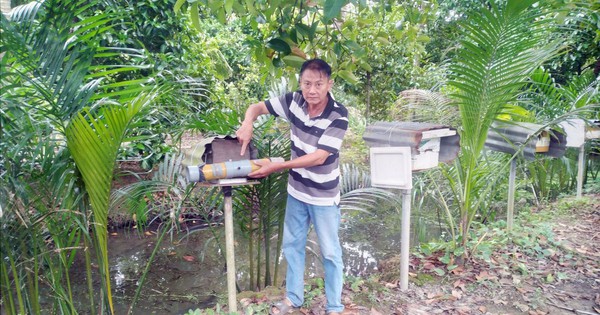 nuoi20ong 1721555507472626642692 0 0 750 1200 crop 1721555595316419875931