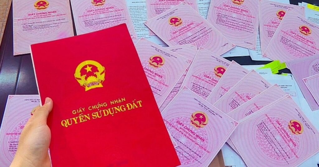 so do crop crop 1715992130213