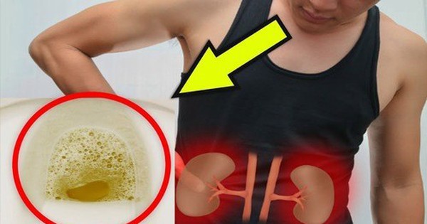 avatar1724574583435 17245745838591273967389